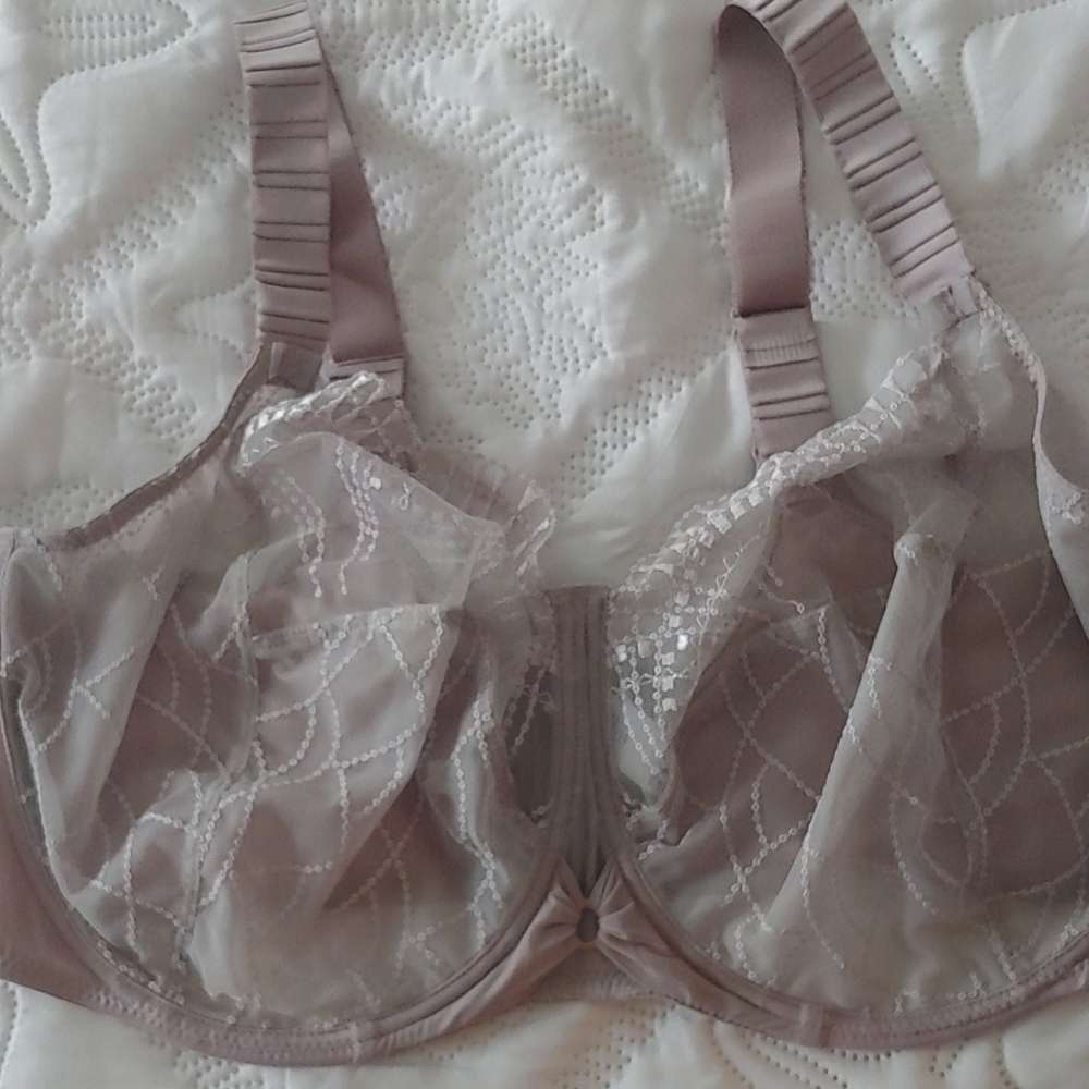 Gray/beige plus sized bra 42G